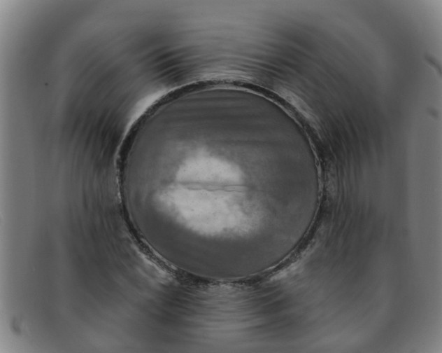 X0000091351022200708311512