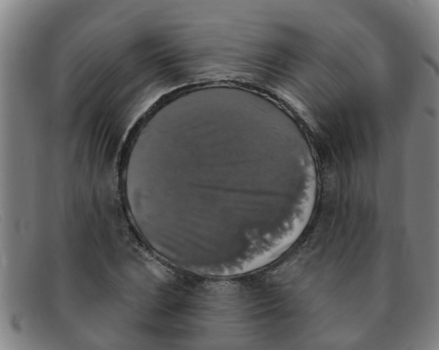 X0000091351023200708311512