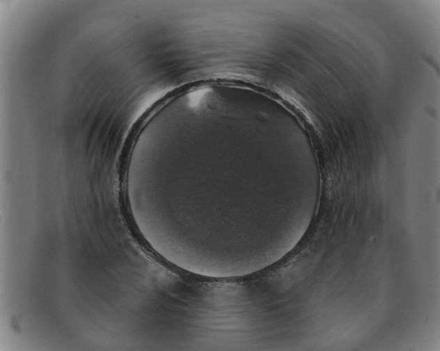 X0000091351024200708311512