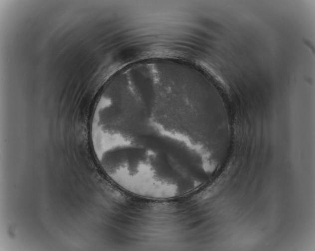 X0000091351025200708311512