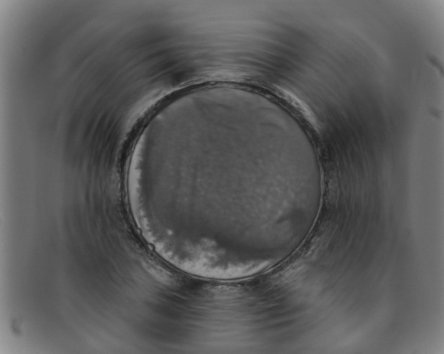 X0000091351027200708311512