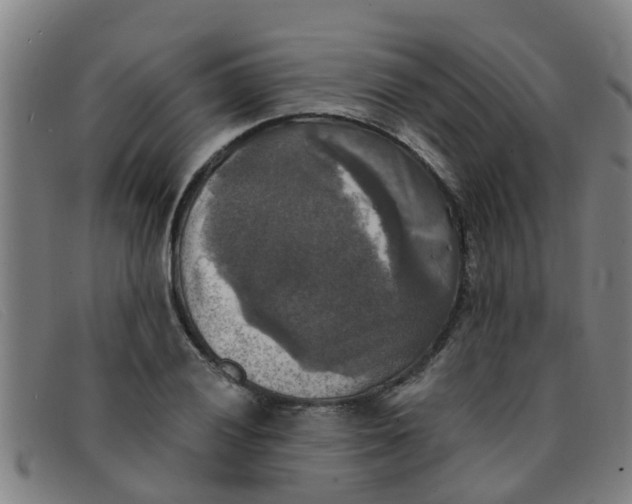 X0000091351028200708311512