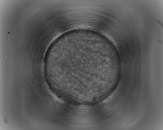 X0000091351029200708311512