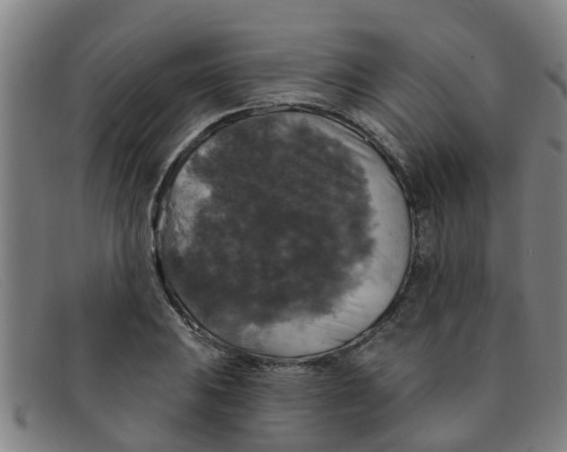 X0000091351031200708311512