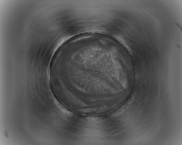 X0000091351032200708311512