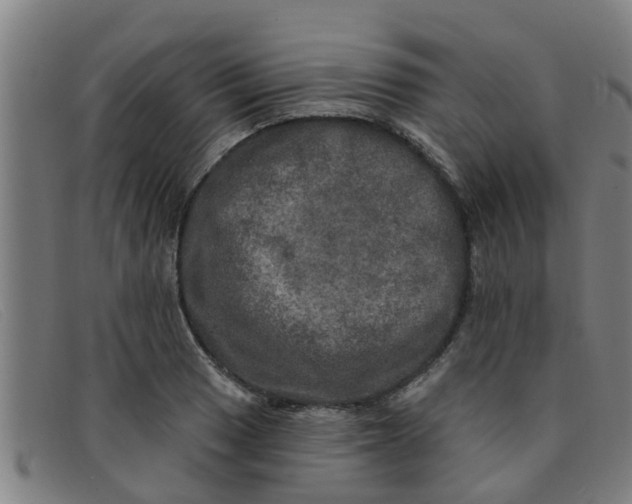 X0000091351033200708311512