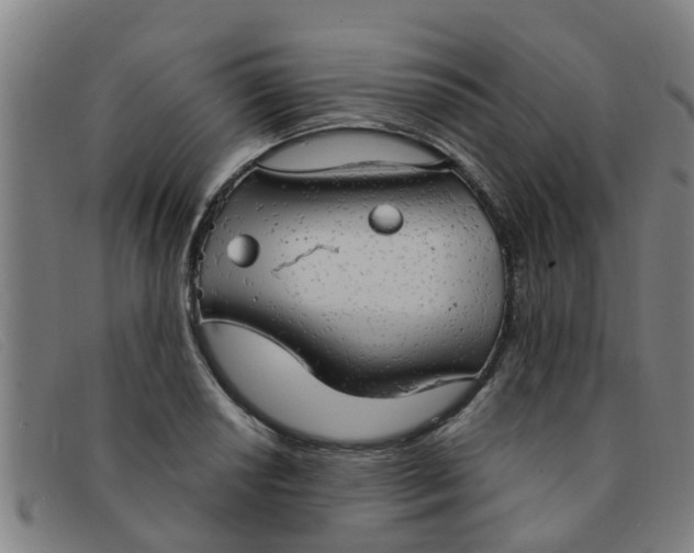 X0000091351034200708311512