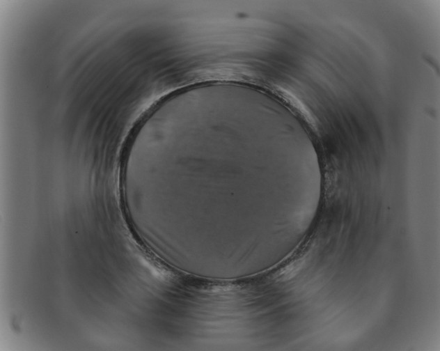 X0000091351035200708311512
