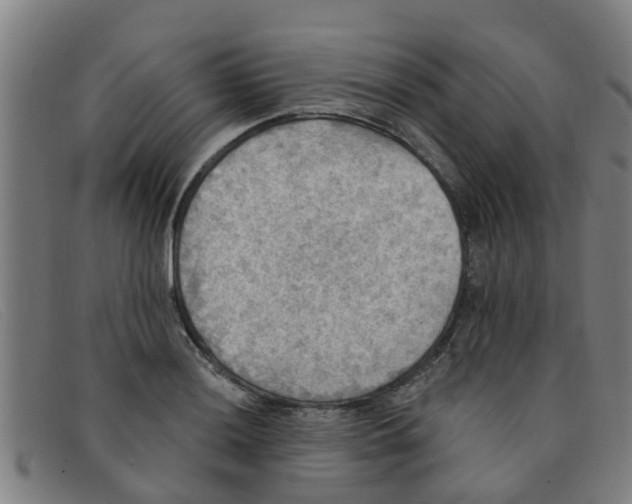 X0000091351036200708311512