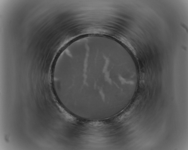 X0000091351037200708311512