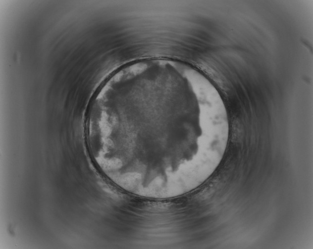 X0000091351039200708311512