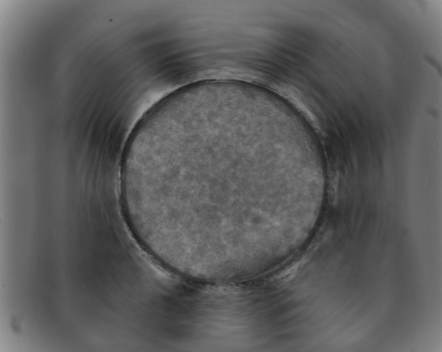 X0000091351040200708311512