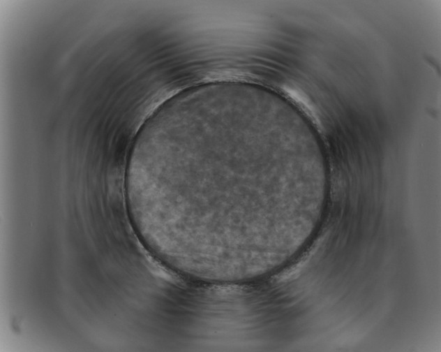 X0000091351041200708311512