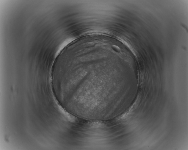 X0000091351042200708311512