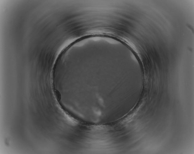 X0000091351045200708311512