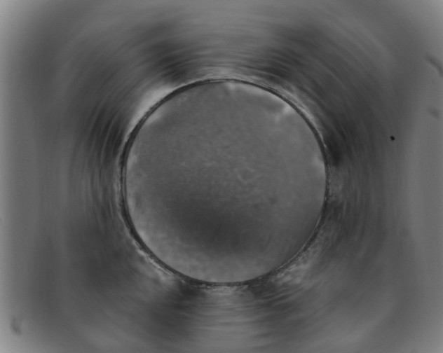 X0000091351048200708311512