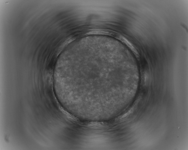 X0000091351049200708311512