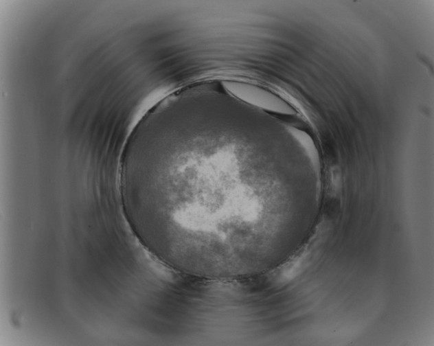 X0000091351050200708311512