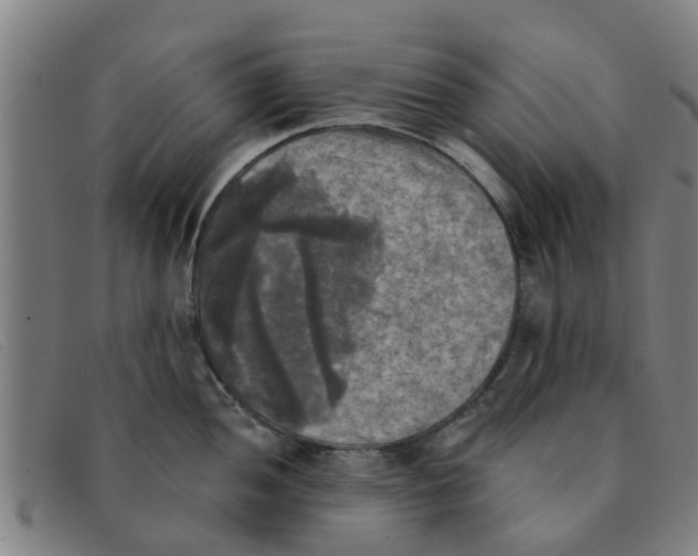 X0000091351052200708311512