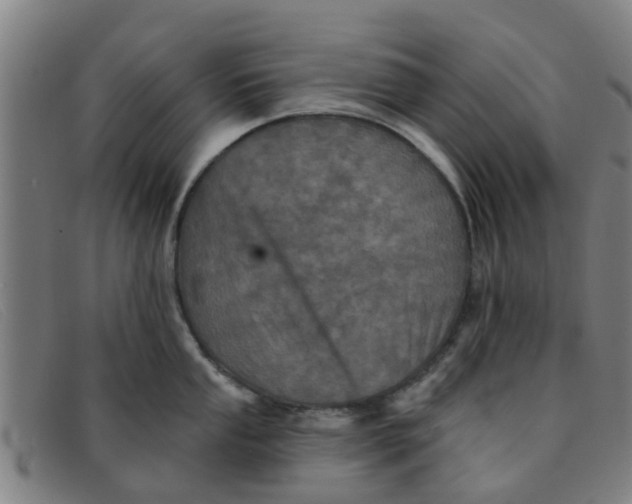 X0000091351053200708311512