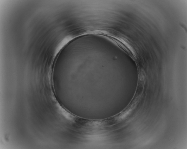 X0000091351054200708311512