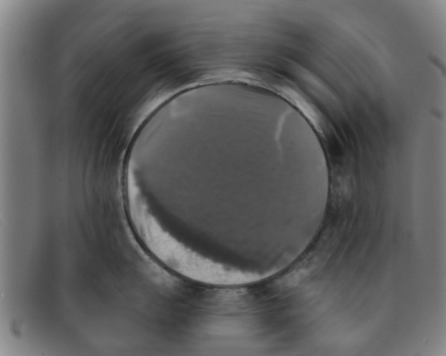 X0000091351055200708311512