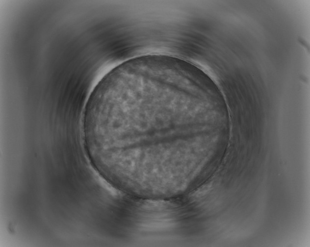 X0000091351056200708311512
