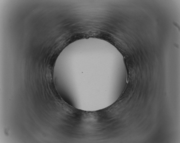 X0000091351058200708311511