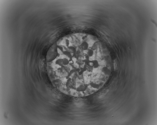 X0000091351059200708311511