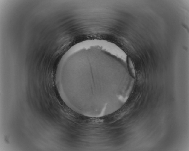 X0000091351060200708311511