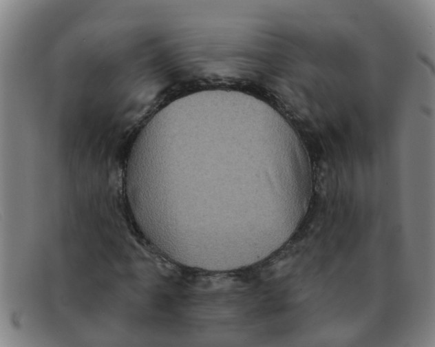 X0000091351061200708311511