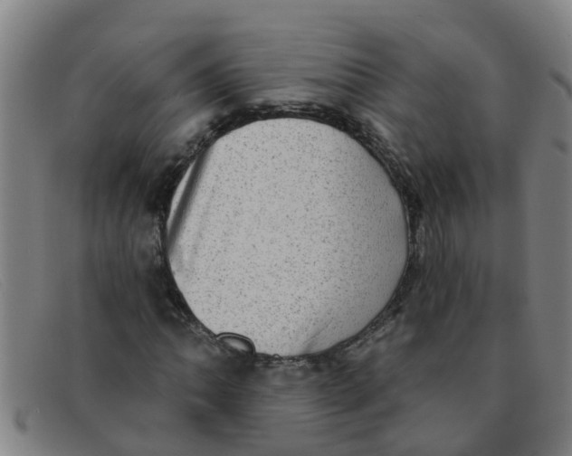 X0000091351062200708311511