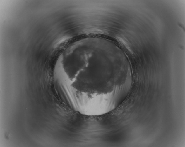 X0000091351063200708311511