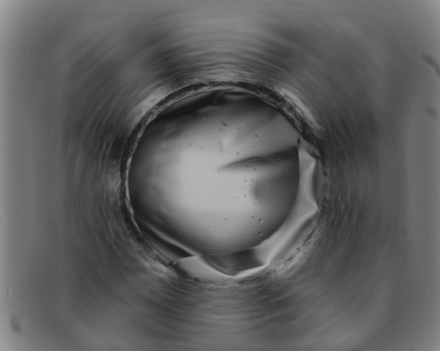 X0000091351065200708311511