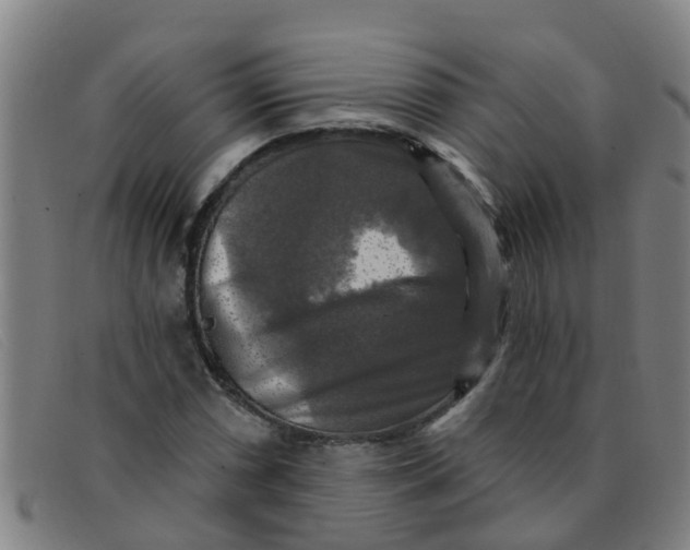 X0000091351066200708311511