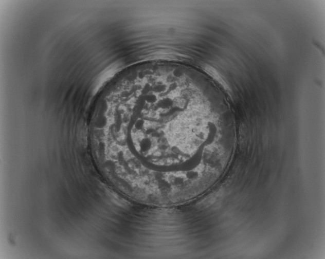X0000091351067200708311511