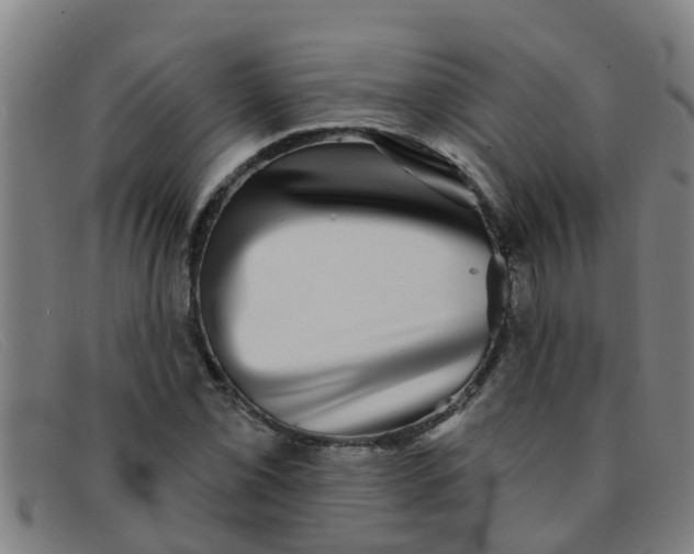 X0000091351069200708311511