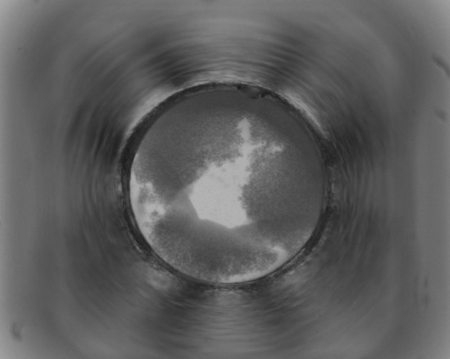X0000091351070200708311511