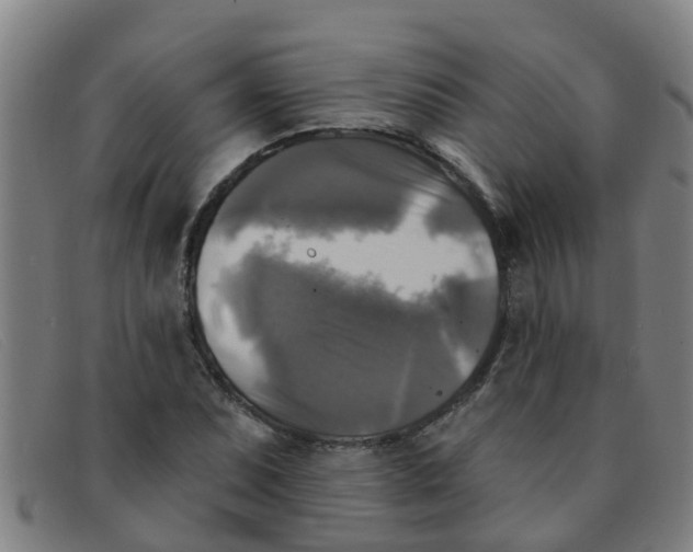X0000091351071200708311511