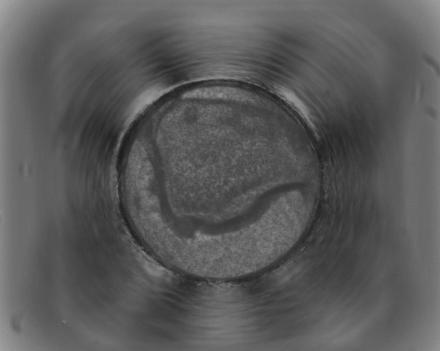 X0000091351072200708311511