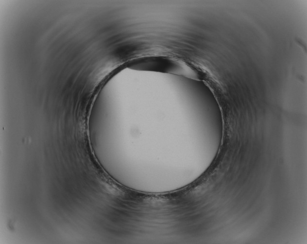 X0000091351073200708311511