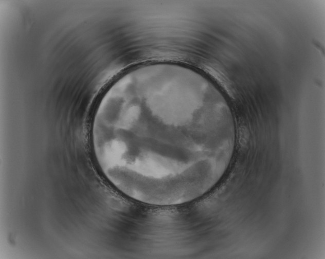 X0000091351074200708311511