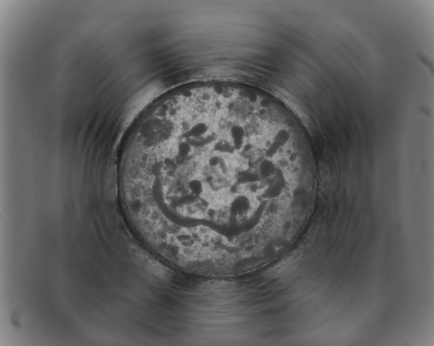 X0000091351075200708311511