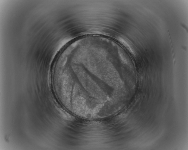 X0000091351076200708311511