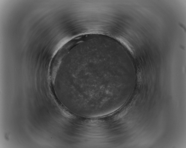 X0000091351077200708311511