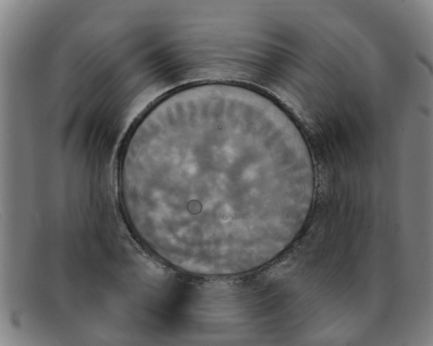 X0000091351078200708311511