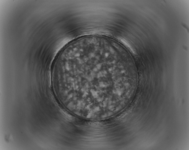 X0000091351079200708311511