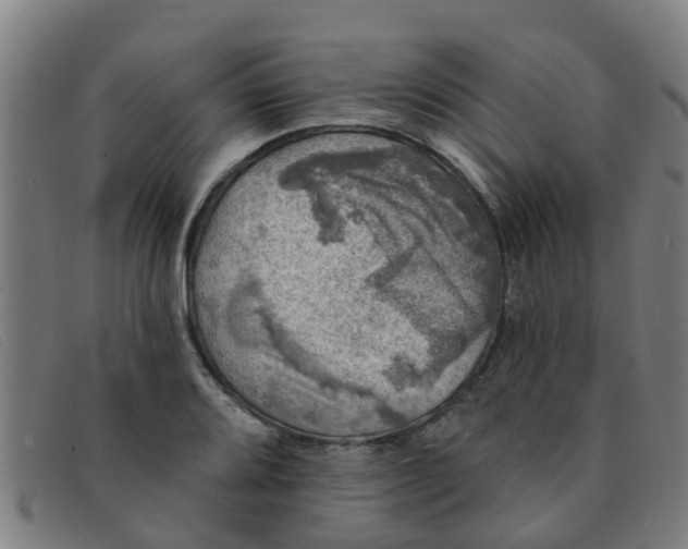 X0000091351080200708311511