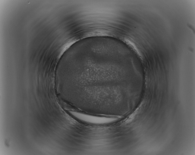 X0000091351081200708311511