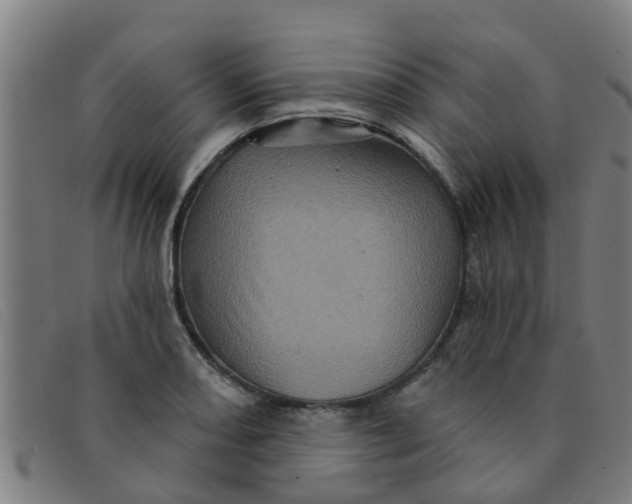 X0000091351082200708311511